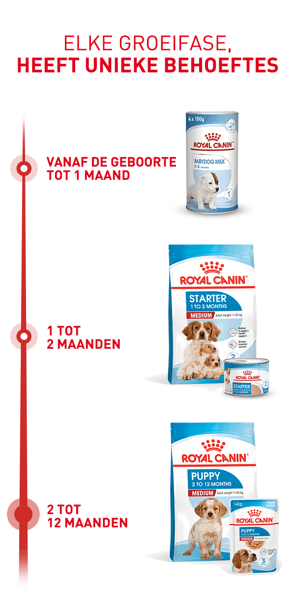 Royal Canin Puppy Medium Dry Groei